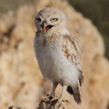 Photo by Abdelrahman Hassanein from Unsplash